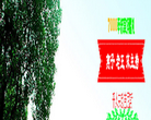 全城热恋官网缩略图