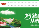 北京千喜鹤食品缩略图