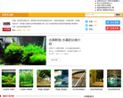 阿邦网热带鱼专栏缩略图