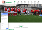 北京襄景人造草坪缩略图