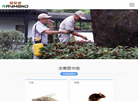 白蚁防治除虫灭鼠消杀雷蒙德虫控缩略图