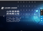 山东润泽制药缩略图