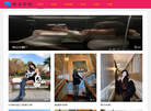 德国萨奇净水官方网站缩略图