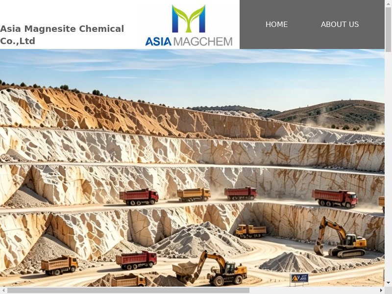 ASIA MAGCHEM缩略图