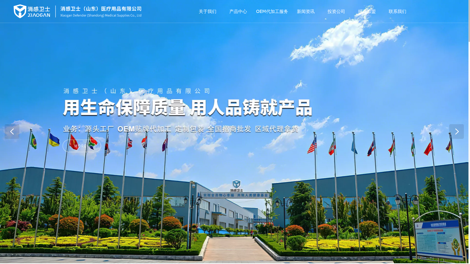 消感卫士（山东）医疗用品有限公司官网缩略图