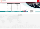 山东九羊集团缩略图