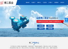 山东博二泵业缩略图