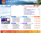 山东省公安厅缩略图