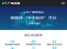 山东广电信通网络运营缩略图