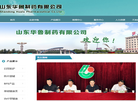 山东华鲁制药缩略图