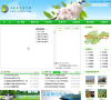 山东交通出行网缩略图