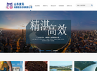山东麦讯地理信息咨询缩略图