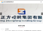 山东正方控股集团缩略图