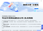 山东支点网络科技缩略图