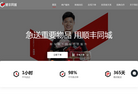 顺丰同城物流公司官网缩略图