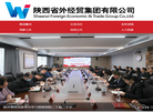 陕西省外经贸实业集团缩略图