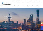 上海晨鑫电炉缩略图