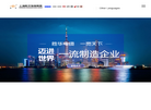 上海胜华电缆缩略图