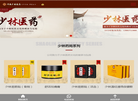 河南少林医药科技缩略图