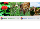 吉林省长白山特产品质量检验站参茸产品质量监督检验中心缩略图