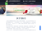 上海电压调整器制造缩略图