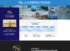 圣嘉新公司网站缩略图