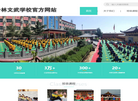 登封市嵩山少林文武学校缩略图