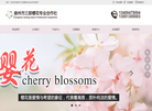 四川成都樱花缩略图