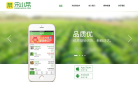 宋小菜缩略图