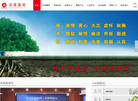 北京华舵企业顾问缩略图
