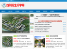 成都和生企业管理缩略图