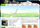 圣迪乐村缩略图