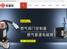 深圳市宏盛高科电子官方网站6缩略图
