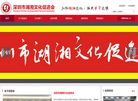 深圳市湖湘文化促进会缩略图