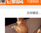 它的窝缩略图