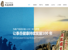 山东泰岳实业集团缩略图