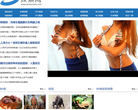 探索网缩略图