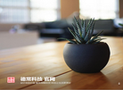 德常科技官网缩略图