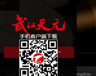 武汉天元缩略图