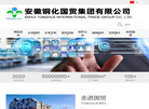 安徽铜化国贸集团缩略图