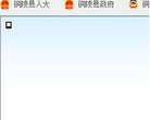 铜陵县人民政府缩略图
