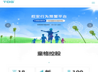 上海童格电子科技缩略图