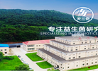 天三奇官网缩略图