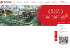 广东泰升药业官网缩略图