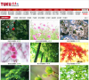 图片网缩略图