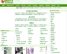 雨枫TXT电子书缩略图
