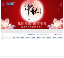 联 飞 翔缩略图