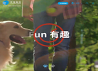 烟台中宠食品缩略图