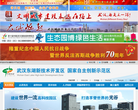 武汉东湖新技术开发区政务网缩略图