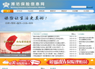 潍坊保险信息网缩略图